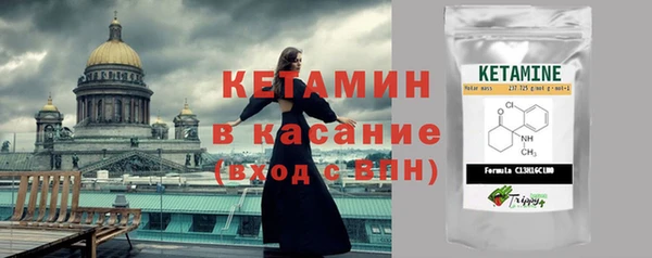 сатива Куйбышев
