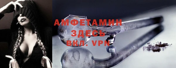 сатива Куйбышев
